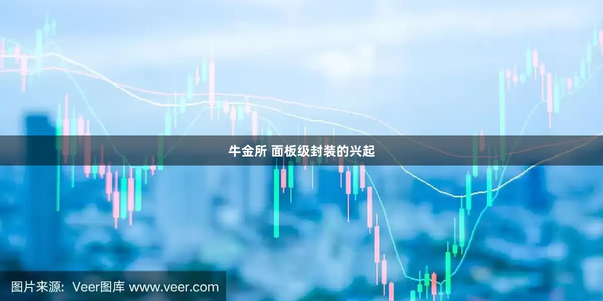 牛金所 面板级封装的兴起