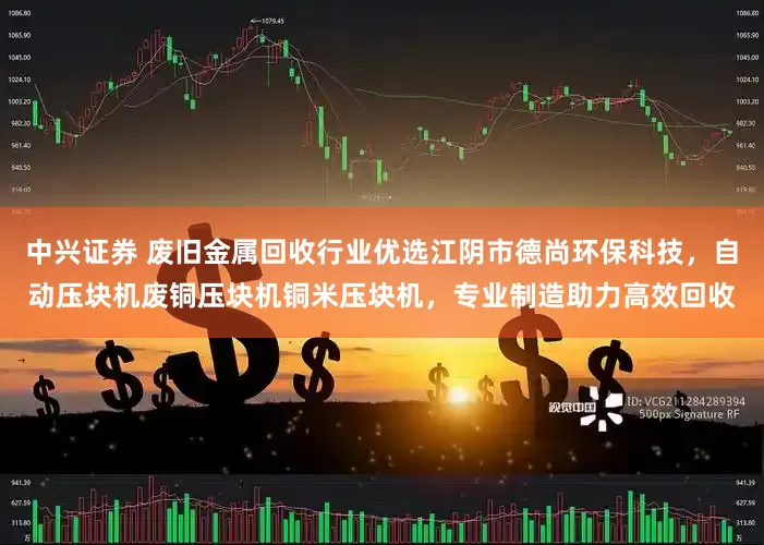 中兴证券 废旧金属回收行业优选江阴市德尚环保科技，自动压块机废铜压块机铜米压块机，专业制造助力高效回收